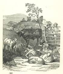 1851 Wood Engraving Country Farm Life The Pasture Sketch Wood Engraving Country Farm Art