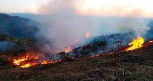 En el bosque no existe la combustión espontánea, siempre se requiere de una fuente de incandescencia externa mayor a 200°c para que ocurra un incendio. Mexico Con 16 Incendios Forestales Activos En 9 Estados Conafor Angulo 7
