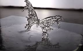 How To Make Resin Butterfly Step By Step Resin Art In 2020 How To Make Resin Resin Art Easy Drawings