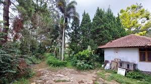Menurut info dari warga sekitar, rumah ini sudah tidak dihuni selama 8. Viral Vila Mewah Terbengkalai Di Kbb Mercedes Benz Ditinggalkan Begitu Saja Bagian 1
