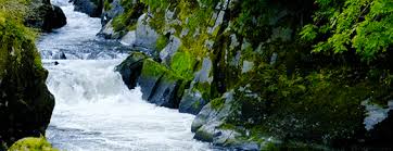 Search, discover and share your favorite river gifs. Nature Wallpaper Photo Gallery Download Gif