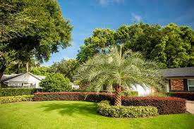 Vibrant pink bougainvillea flowers in florida keys or miami, green plants landscaping landscaped lining sidewalk street road house entrance gate door during summer. 7 Landscape Design Tips For Perfect Plantings At Your Orlando Fl Home