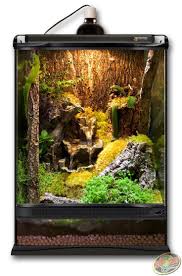 12x12x18 Zoo Med Terrarium Built As A Giant Day Gecko Habitat Diy This Terrarium With Hydroballs Eco Earth F Gecko Terrarium Frog Terrarium Lizard Terrarium