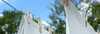 Bodrumda Koltuk Yikama