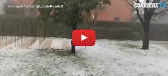 Danni anche nel comasco per i violenti temporali con vento e grandine che si sono abbattuti nel pomeriggio con particolare violenza. Meteo Cronaca Diretta Veneto Spaventosa Bufera Di Grandine Devasta I Vigneti In Provincia Di Treviso Il Video Ilmeteo It