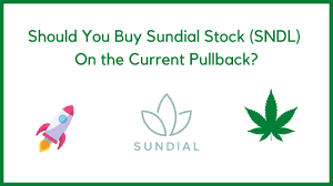 Analysts have just cut their sundial growers inc. Should You Buy Sundial Stock Sndl On The Current Pullback Youtube