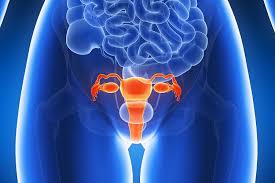 Die meisten patientinnen sind nach der gestellten diagnose erst mal. Pcos Eine Krankheit Mit Vielen Gesichtern Ivi