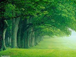 Nature wallpapers 4k hd for desktop, iphone, pc, laptop, computer, android phone, smartphone, imac, macbook wallpapers in ultra hd 4k 3840x2160, 1920x1080 high definition resolutions. Beautiful Wallpapers Nature Home Facebook