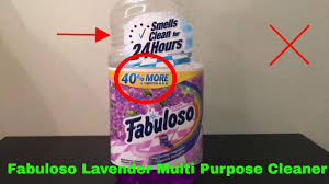 Awesome Can You Use Fabuloso In A Carpet Shampooer And Pics Carpet Shampooer Carpet Cleaners Cleaners