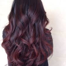 Your current hair color can also play into your decision to dye. Plum Burgundy Highlights In Dark Brown Hair Novocom Top