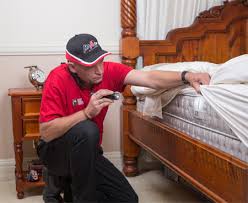 Phone 1300 24 33 77. Get Rid Of Bed Bugs With Professional Pest Control