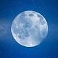 June Full Moon Meditation and Meet your Animal Guides