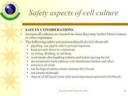 Animal cell and tissue culture pdf. Download Pdf Safety In Cell And Tissue Culture