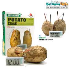 Always remember to connect the copper (positive) end of the potato (battery) to the. 4m Kidz Labs Green Science Potato Clock Digital Timer Connecting Wires Fruit Source Educational Toy Kit 3275 4568 Geothermal Energy Science Kits Science Toys