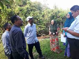 Update information for hashim othman ». Portal Rasmi Maik Lawatan Ke Tanah Wakaf Di Kampung Jejabi Kota Bharu Kelantan