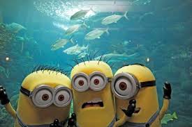 The Largest Collection Of Minions On The Internet The Movie Score Minions Minions Funny Funny Minion Memes