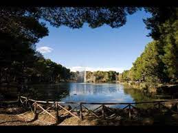 Pineta dannunziana is located in pescara. Nella Pineta Dannunziana Youtube