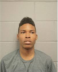 ᐅ Illinois Criminal Records 2009-2025