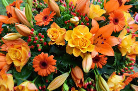 Best value flowers & gifts. Ok Flower 15634 Brookhurst St Westminster Ca 92683 Usa