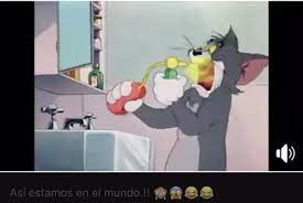 Pin On Funny Tiktoks