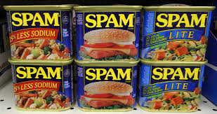 Image result for spam + images