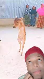 Arewa Top Celebrities (ATC) 3