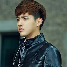 An alpha with eleven omegas to find, love, protect and cherish for all his life. Galaxy Fanfanwu å³äº¦å‡¡kris Wu Yifan Page Videos Facebook