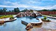 Small Beautiful Backyards With Pools