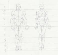 See more ideas about female drawing, anatomy drawing, anatomy. Drawing Female Torsos Example Reference In 2021 Female Torso Drawings Drawing Exercises