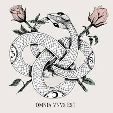 Serpent Eating Its Own Tail Tumblr Ouroboros Tattoo Art Foot Tattoos