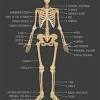 Maybe you would like to learn more about one of these? 1