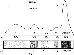 Plasma Of Blood What Is The Main Component Of Plasma? If You Could  Magically Sample The Plasma, What Types Of Proteins Would You Find In A  Sample Of Plasma? What Organ Do
