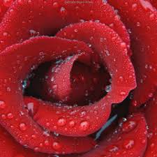 Stream DJ Fabian Calvo music