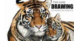 Draw a circle near the right side of the paper as a guide for the tiger cub's head. Watch Clip Time Lapse Drawing Of A Tigress And Tiger Cub Prime Video