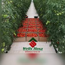 The images are from the records of 15 government agencies within the holdings of the still. Wells Hosa Author At Wells Hosa Greenhouse Farmswells Hosa Greenhouse Farms