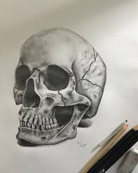 The image above is one of 151 drawings of the human skull matthew amey. 50 Skull Drawings Sketches For Art Inspiration