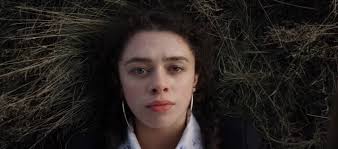 Red Rose Cast: Every Actor and Character in the Netflix Series