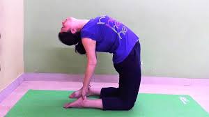 Ustrasana (camel pose) is a backward bending yoga asana which very beneficial for increasing flexibility in the body. Ustrasana Benefits Precautions Ustrasana Steps Camel Pose Yoga