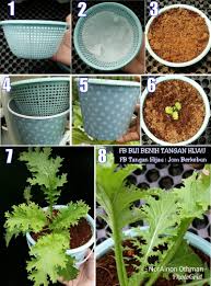Pekebun hidroponik biasanya menggunakan media tanam. Wanita Ni Tunjuk Satu Satu Cara Tanam Sayur Hidroponik Paling Best Ringkas Cantik Keluarga