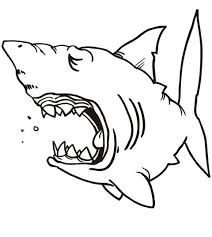 Printable Crafts Colouring Pages Free Premium Templates In 2020 Shark Coloring Pages Animal Coloring Pages Sea Creatures Drawing