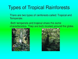 The tropical domain has the largest proportion of the world's forests (45 percent), followed by the boreal, temperate and subtropical domains. Ppt Tropical Rainforest Powerpoint Presentation Free Download Id 5449085