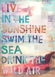 Live In The Sunshine Swim The Sea Drink The Wild Air Ralph Waldo Emerson Details This Is A Gallery Quality Paper Summer Quotes Spring Quotes 10th Quotes