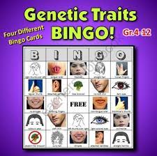 Teachers Notebook Genetics Traits Genetics Bingo Genetics