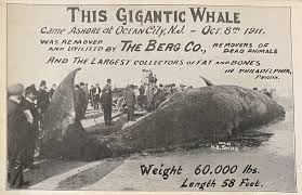 Catching Up With a Baseball Legend in Port Richmond