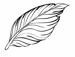 Feather Outline Png Free Feather Outline Png Transparent Images 70486 Pngio Quill feather icon, outline style. feather outline png transparent