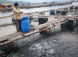 Perlahan Benahi Kja Waduk Di Jabar Inti Akua Trobos Aqua Com
