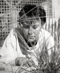 Understanding To Kill a Mockingbird by Harper Lee