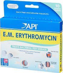 Api E M Erythromycin Freshwater Fish Bacterial Disease