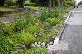 Barton Basin Gsi For Cso Control Project Mig Svr In 2020 Garden Design Landscape Design Landscape Architecture