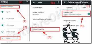 Press the indicator next to data roaming to turn the function on or off. Turn Off Data Roaming On The Samsung Galaxy